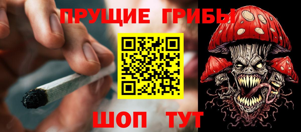 Жигулёвск  Псилоцибиновые грибы Cubensis  купить закладку  Псилоцибиновые грибы Psilocybe  Вход с VPN 