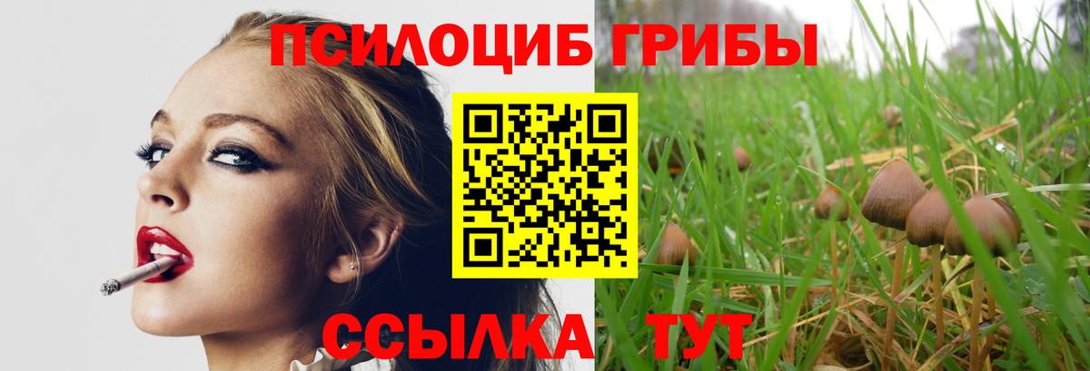 Галлюциногенные грибы мицелий Жигулёвск